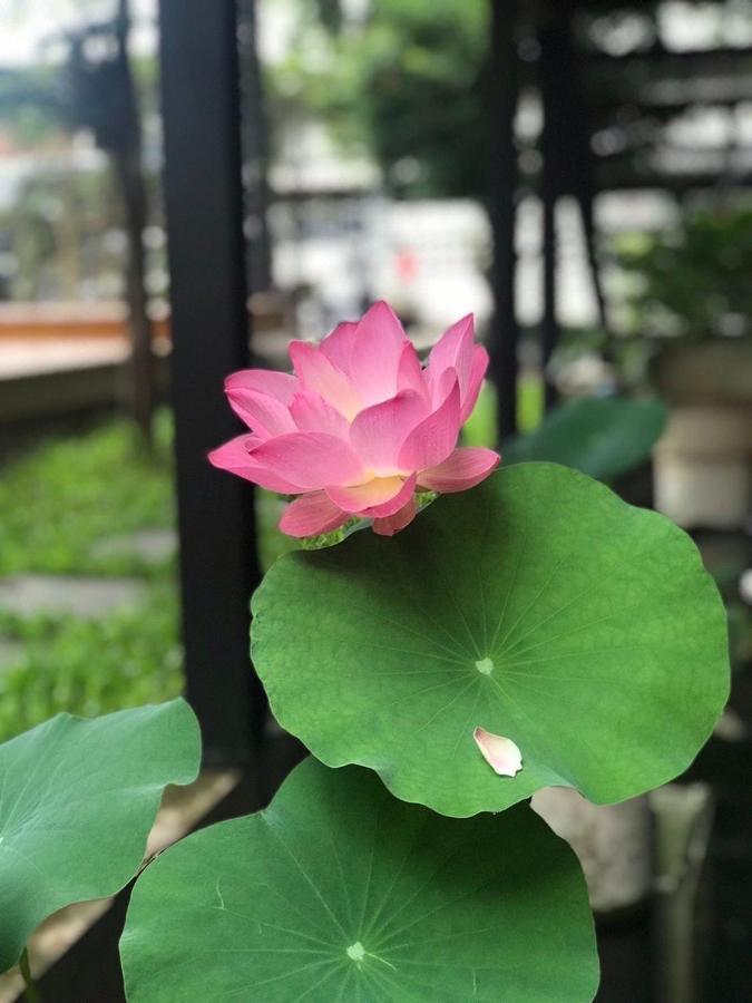 The Wishes Hotel At Chiangmai Chiang Mai Exteriör bild